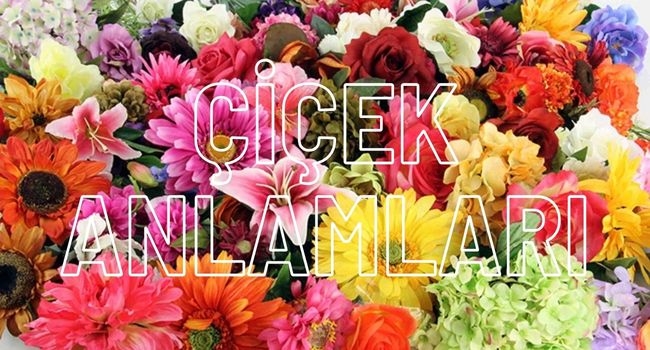 ÇİÇEK ANLAMLARI 