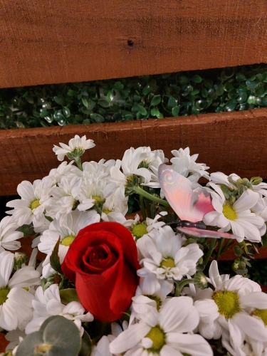 Vazo da Papatya ve Tek Gül